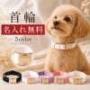 犬 首輪 名入れ無料 名前入り 犬用首輪 迷子対策 ネームプレート 電話番号 刻印 オーダーメイド 小型犬 中型犬 大型犬 チェック柄 ポリエステル リボン 蝶ネクタイ おしゃれ かわいい ペット首輪 リードセット 散歩 お出かけ 誕生日 記念日 プレゼント ギフト