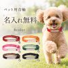 名入れ無料 首輪 犬 猫 本革 名入れ 迷子札 刻印 ネームタグ レザー おしゃれ かわいい 調整可能 軽量 柔らかい 通気性 丈夫 耐久性 音が鳴る 鈴付き 脱落防止 安全バックル 小型犬 中型犬 大型犬 子犬 子猫 散歩 おでかけ ペット用品 誕生日 記念日 プレゼント ギフト