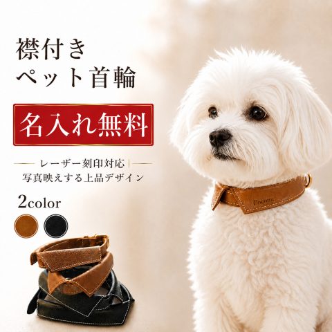 名入れ無料 犬 首輪 猫 首輪 名入れ 犬用首輪 猫用首輪 PUレザー 襟付き首輪 オーダーメイド レーザー刻印 名前入り ネームカラー 迷子防止 おしゃれ かわいい シンプル 高級感 軽量 やわらかい サイズ調整可能 首輪 小型犬 超小型犬 子犬 子猫 散歩 お出かけ 写真撮影