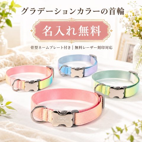 名入れ無料 犬 首輪  グラデーション おしゃれ 骨型 ネームプレート 名前入り 犬用 猫用 ペット レーザー刻印 電話番号 迷子札 迷子対策 迷子防止 かわいい カラフル 軽量 やわらかい サイズ調整 ワンタッチ 小型犬 中型犬 愛犬 愛猫 リード お揃い 散歩 誕生日 記念日