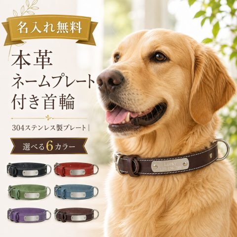 名入れ無料 犬 首輪 本革 ネームプレー 名前入り 犬用 レザー おしゃれ レーザー刻印 電話番号 刻印 迷子札 迷子対策 迷子防止 サイズ調整 丈夫 サビに強い 小型犬 中型犬 大型犬 愛犬 ペット用品 散歩 誕生日 記念日 うちの子記念日 プレゼント ギフト