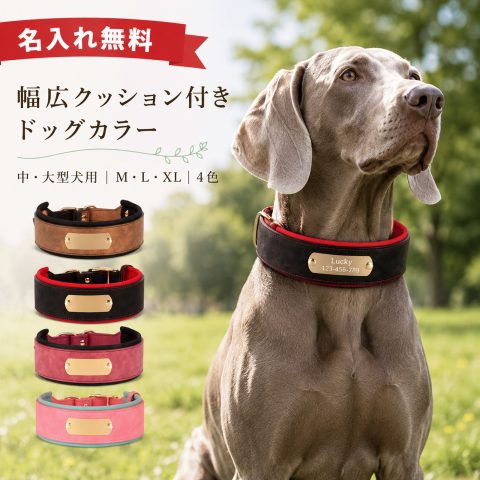 【名入れ無料】ドッグカラー 犬 首輪 中型犬 大型犬 幅広 5cm 4cm 3cm クッション付き ネオプレン レザー調 二層構造 衝撃軽減 負担軽減 迷子防止 メタルプレート 刻印 多穴調整 亜鉛合金 Dカン 頑丈 高品質 おしゃれ かわいい お散歩 ギフト M L XL 4色 贈り物 ギフト