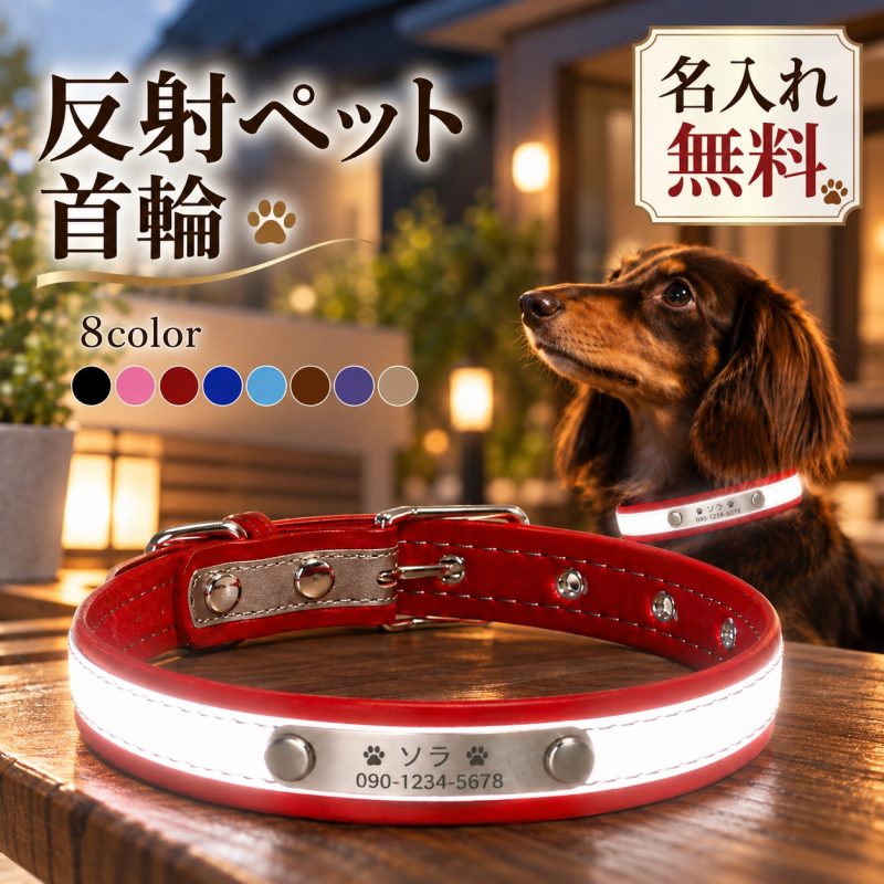 犬 首輪 名入れ無料 迷子札 名前入り 刻印無料 反射 ネームプレート ステンレスプレート 犬用首輪 犬の首輪 オーダーメイド ベルト式 Dカン 小型犬 中型犬 おしゃれ シンプル 散歩 夜間 迷子対策 防災 誕生日 うちの子記念日 記念日 プレゼント