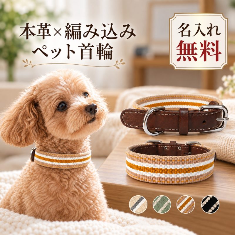 犬 首輪 犬用首輪 本革使用 牛革×織りテープ レザー 名入れ無料 名前入り 刻印 電話番号 ドッグカラー ベルト式 サイズ調整 ボーダー 小型犬 中型犬 柴犬 おしゃれ かわいい 散歩 お出かけ 迷子対策 オーダーメイド 誕生日 記念日 うちの子記念日 プレゼント ギフト 愛犬