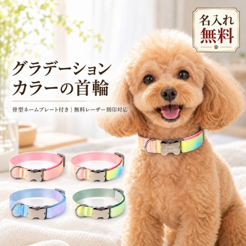 犬 首輪 犬用首輪 名入れ無料 名前入り 電話番号 レーザー刻印 迷子札 迷子対策 金属バックル刻印 PUレザー グラデーション おしゃれ かわいい 小型犬 中型犬 サイズ調整 ペット首輪 オーダーメイド 散歩 お出かけ 誕生日 記念日 うちの子記念日 ギフト