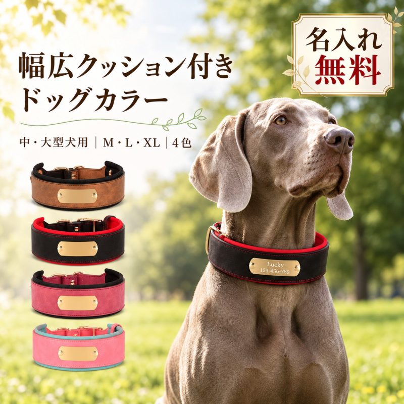 犬 首輪 大型犬 中型犬 幅広 名入れ無料 迷子札 ネームプレート 名前入り 電話番号入り レーザー刻印 オーダーメイド 首への負担に配慮 クッション入り サイズ調整 ベルトタイプ ゴールデンレトリバー シェパード 迷子対策 散歩 誕生日 記念日 うちの子記念日 プレゼント